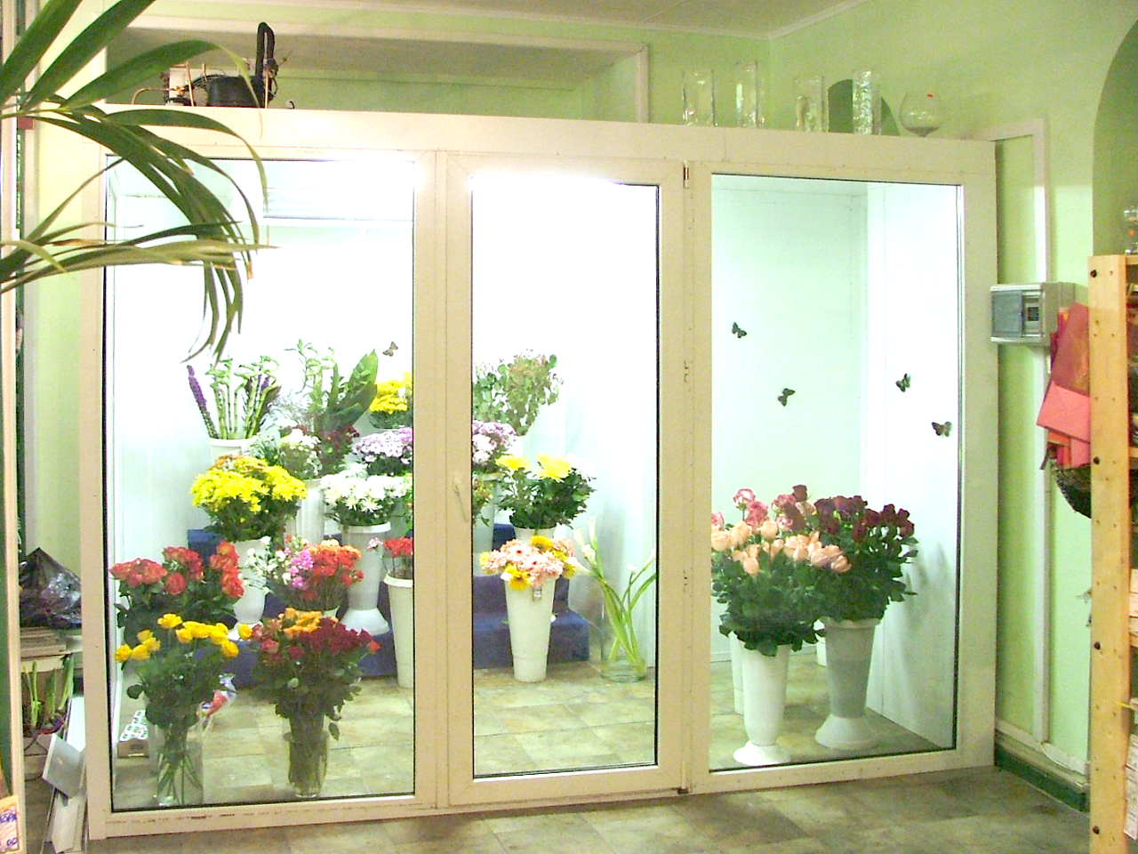 Холодильные камеры, витрины для цветов